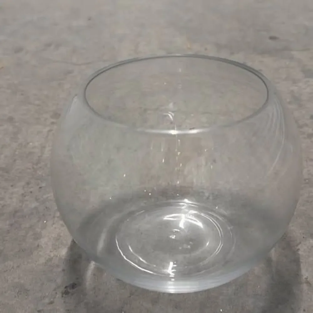 Clear Glass Fish Bowl Vase